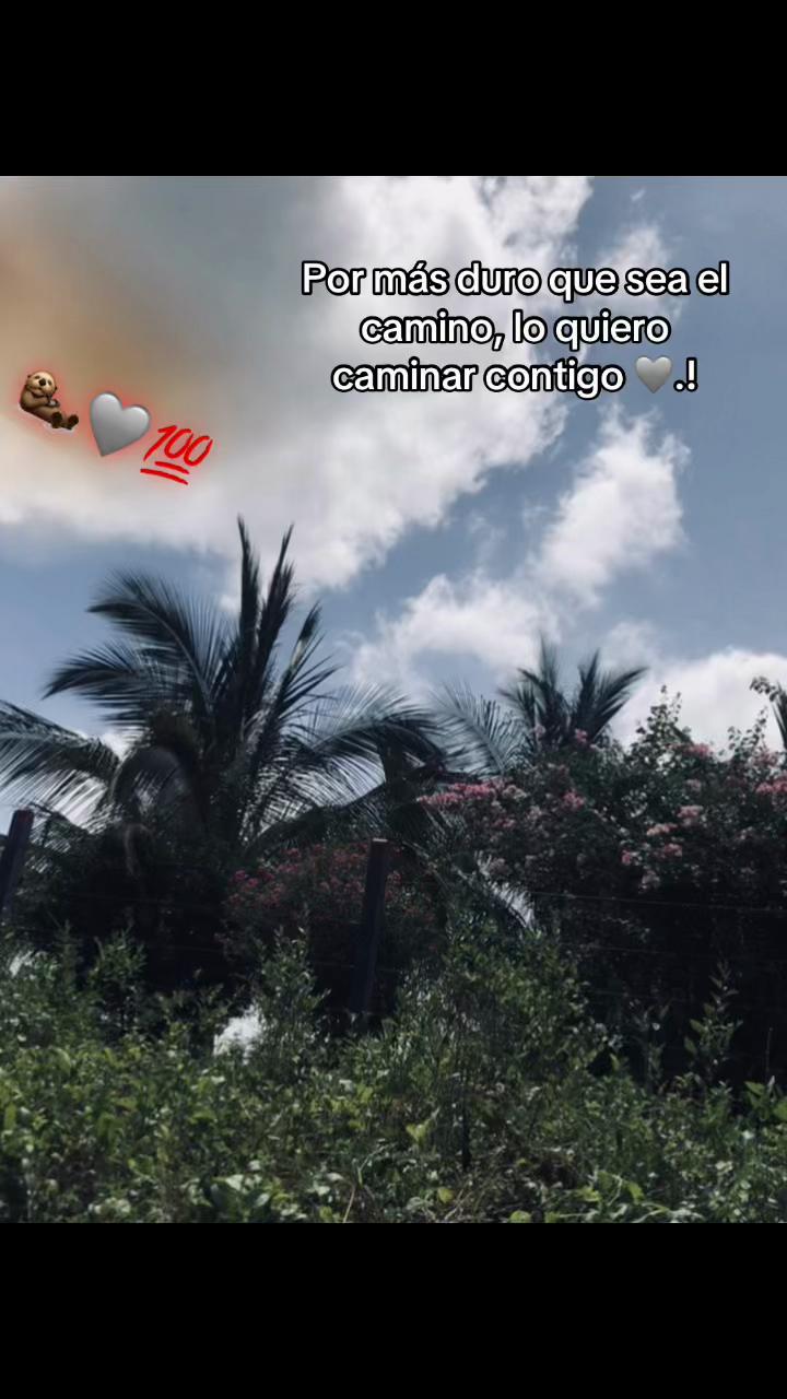 @แฅซแญก.