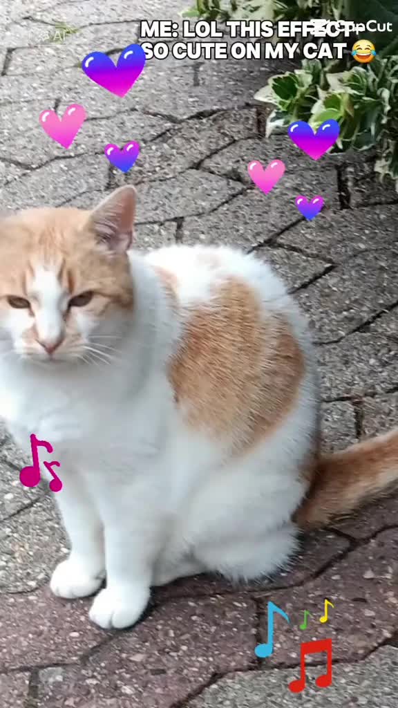 @Babsi