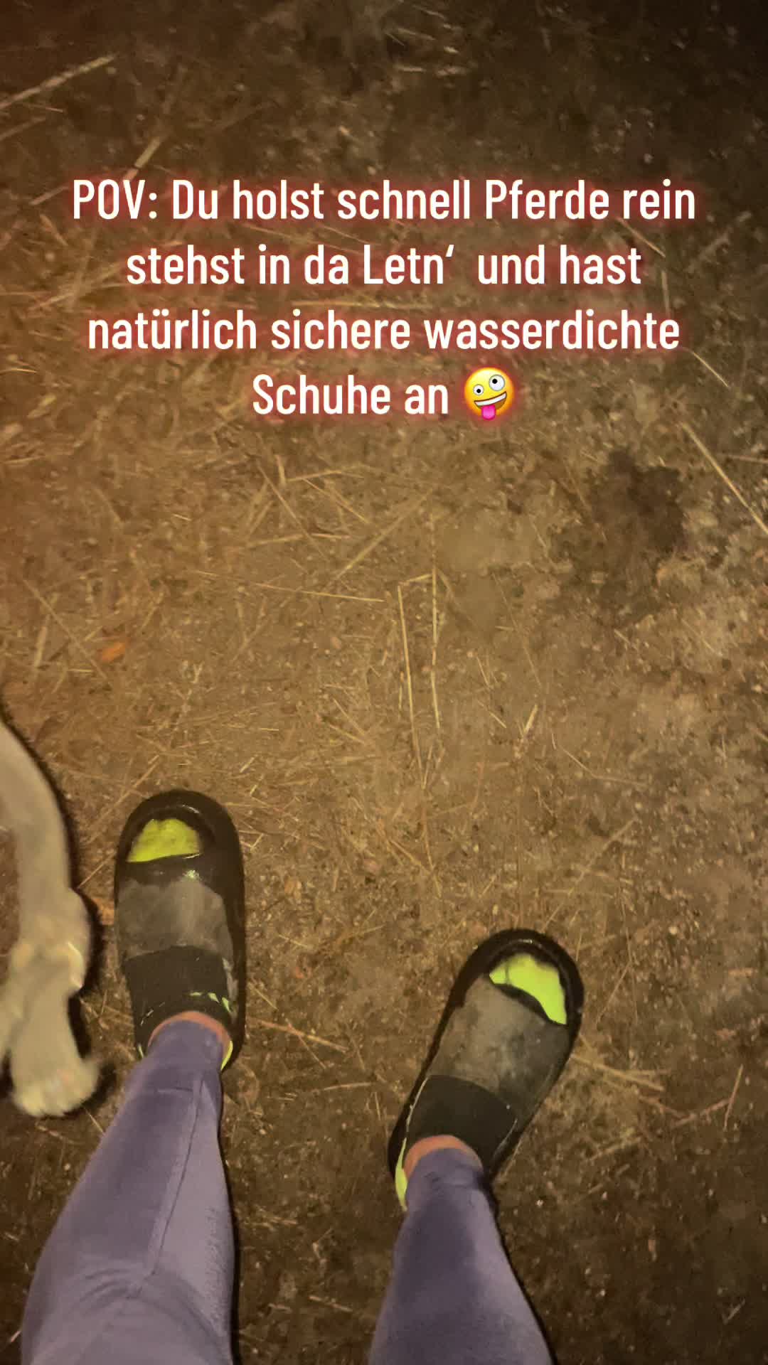 @Mountain Hill Ranch 🇦🇹