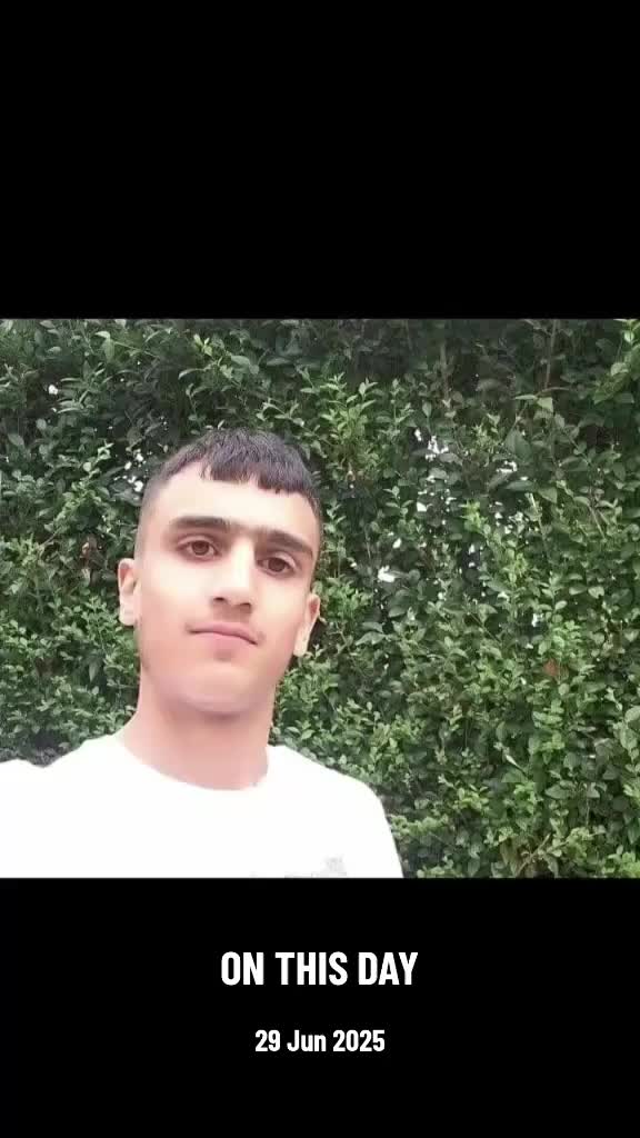 @moiez