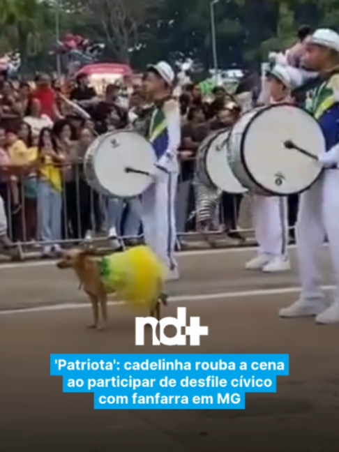 @portalndmais