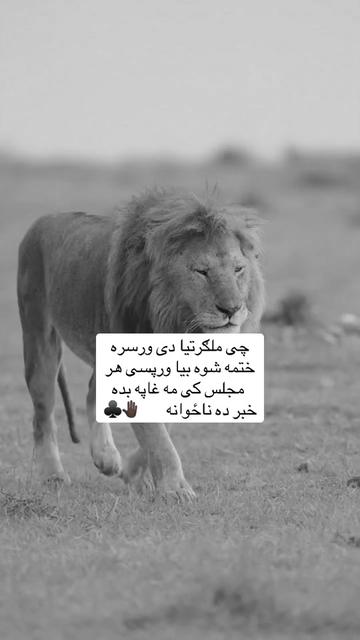@🥷🏿کــــپــــچــــه🥷🏿