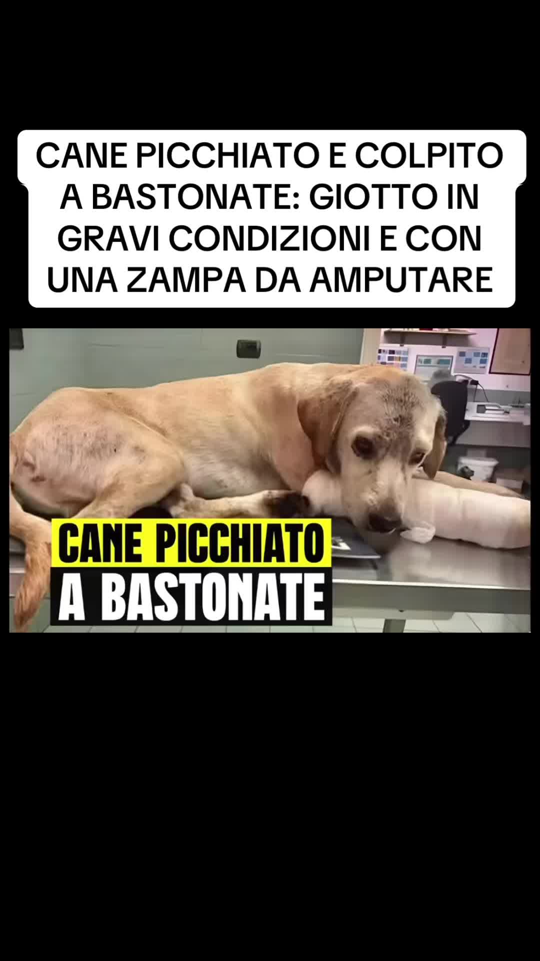 @flashtv_notizie