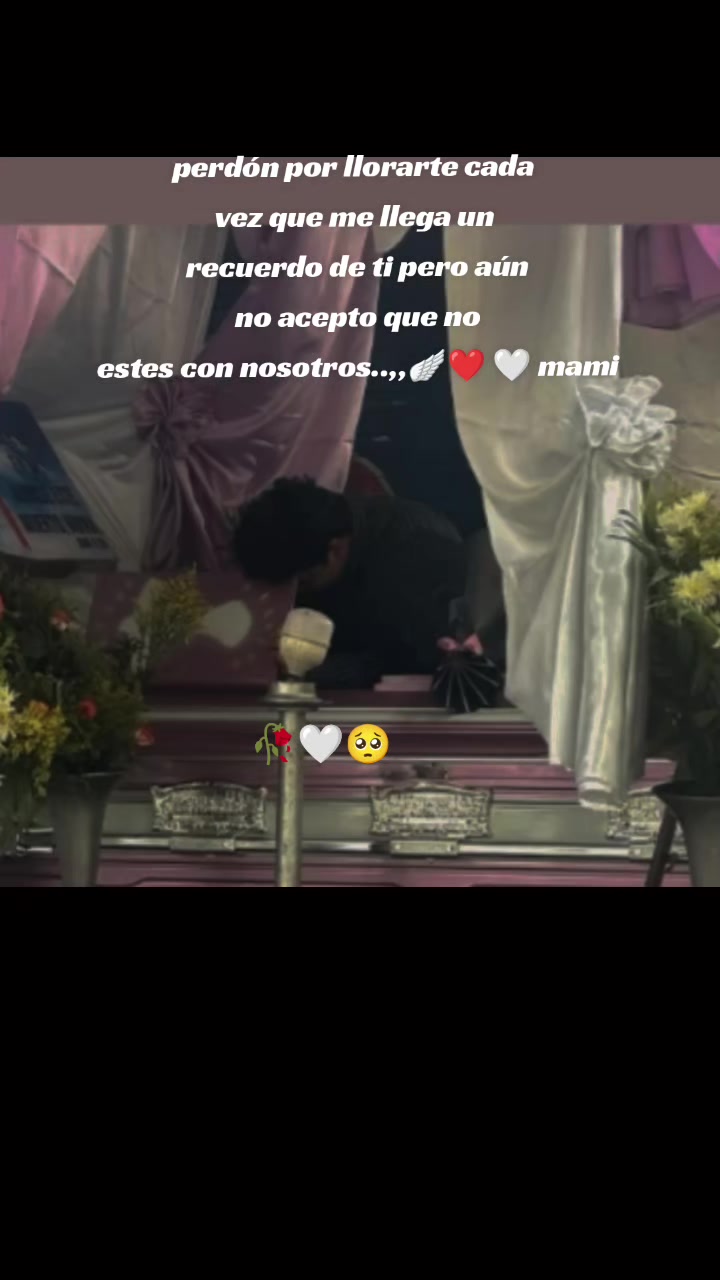 @lily 🥰
