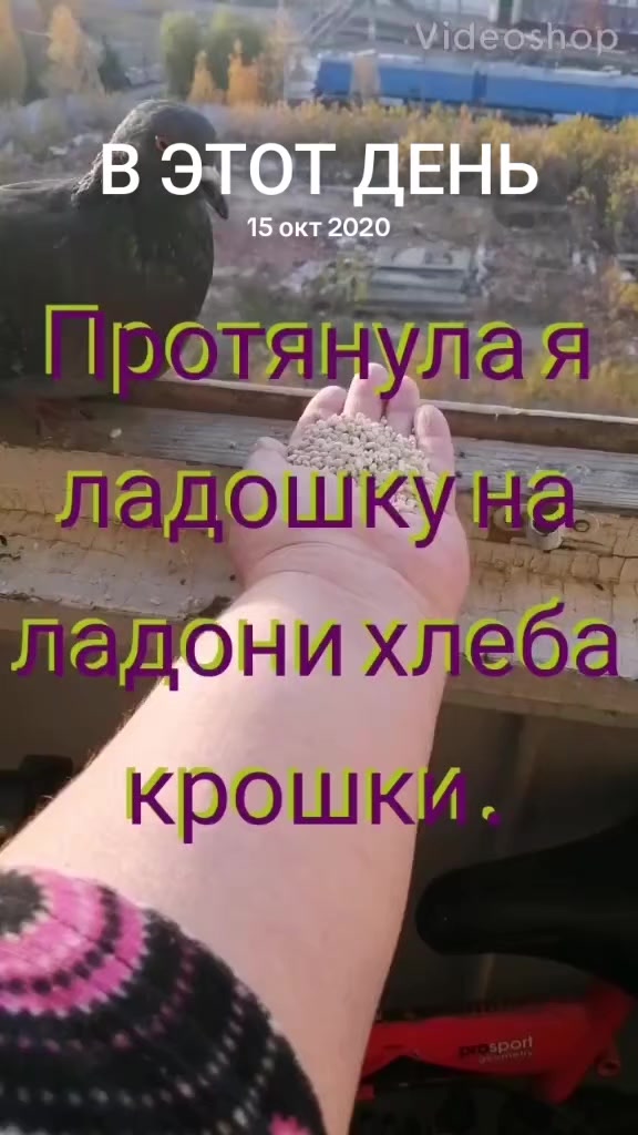 @ИРИНА