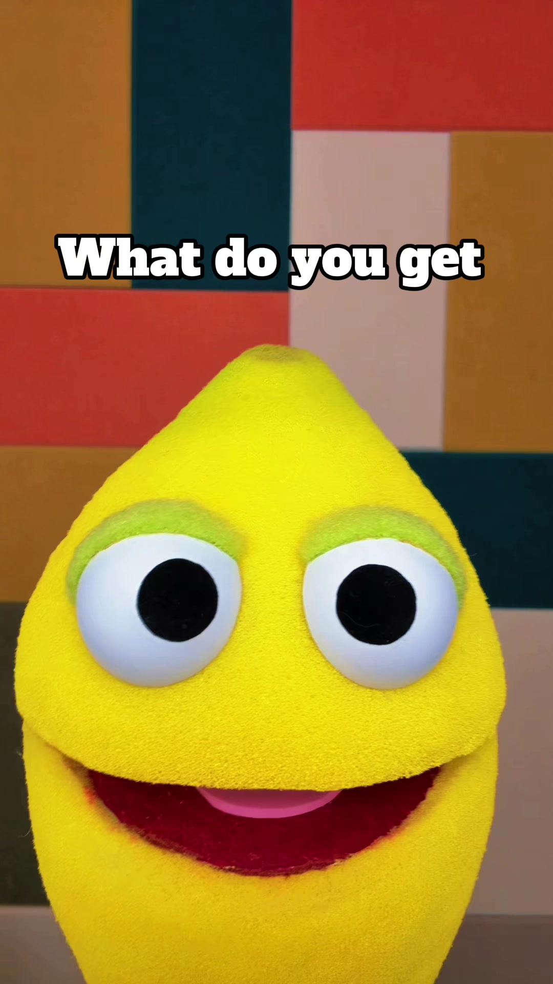 @chappellpuppets