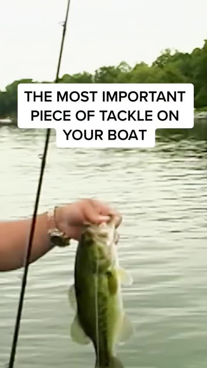 @Lunkerville