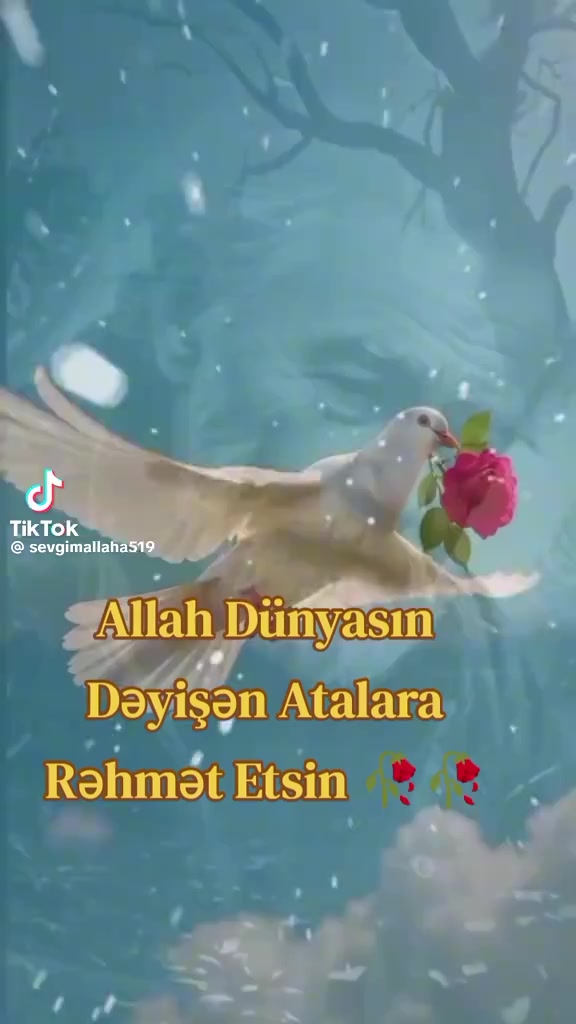@qedir_94