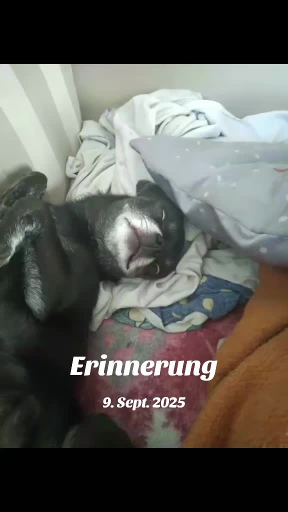 @Konstanze
