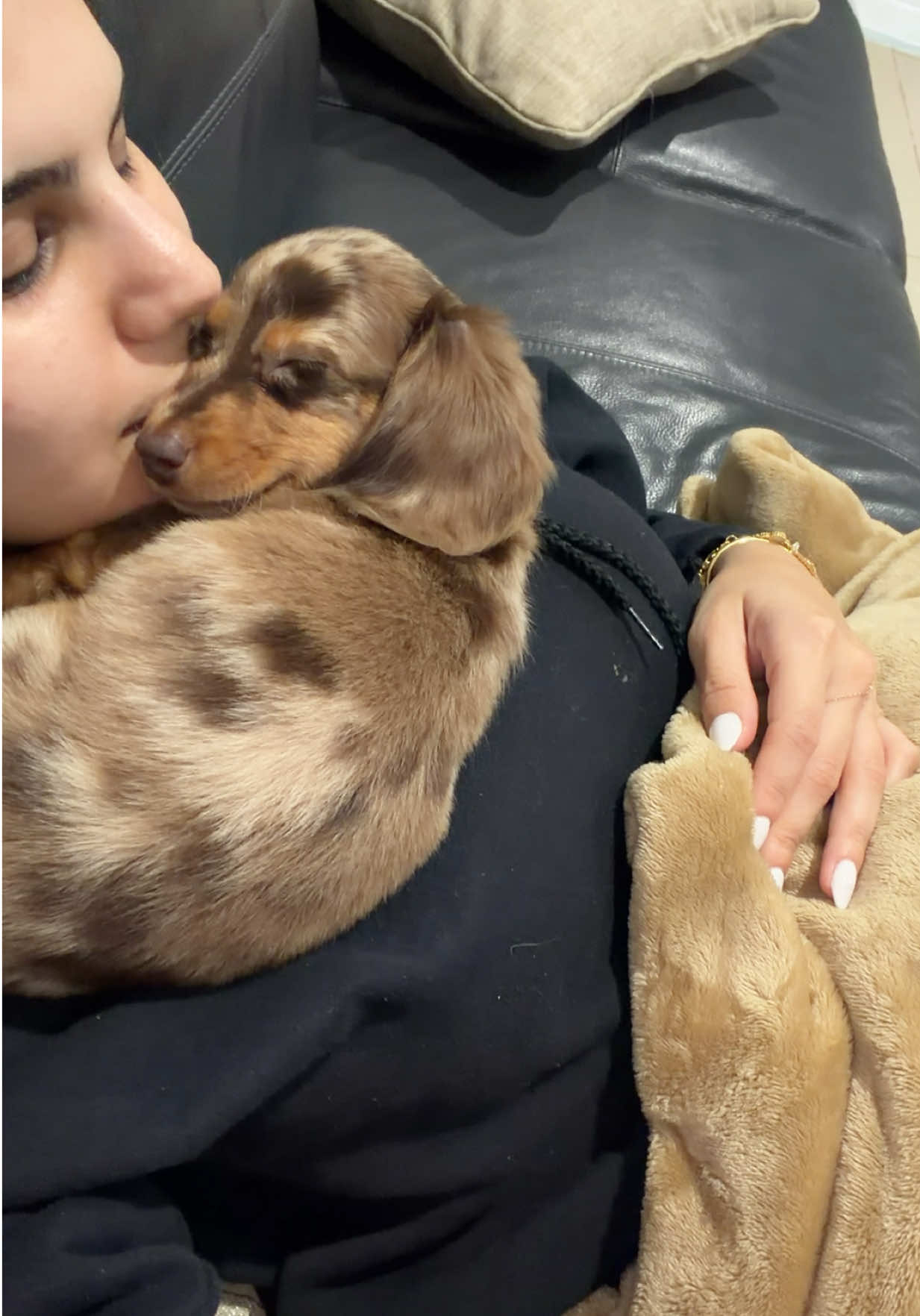 @Oli the Mini Doxie