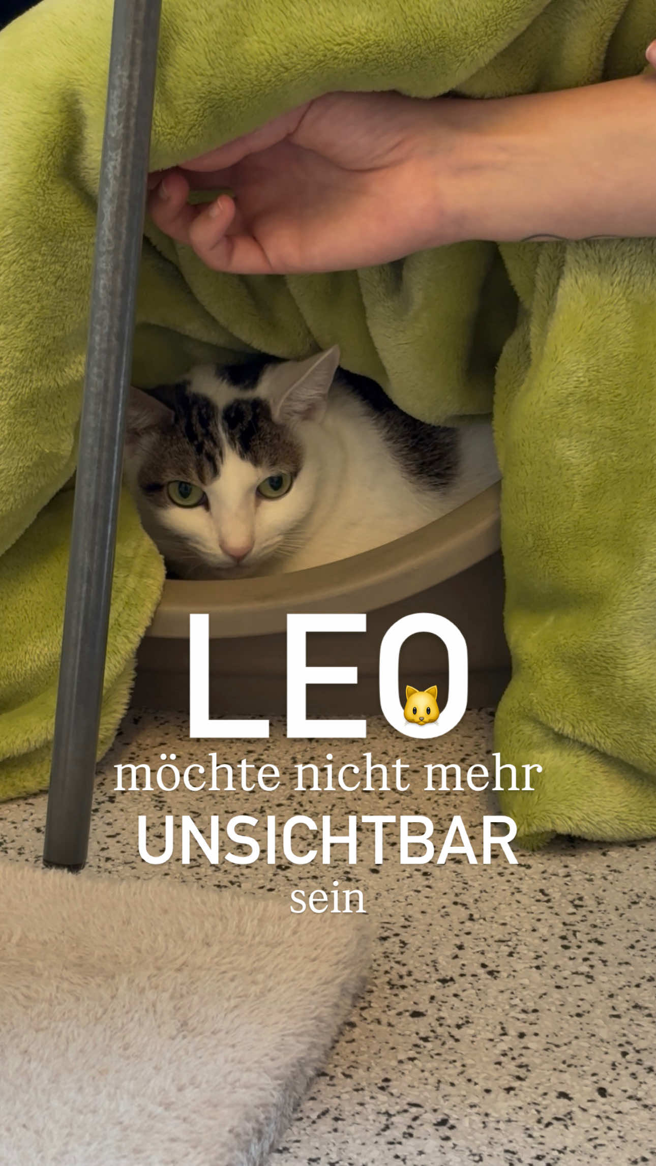 @TierschutzvereinM