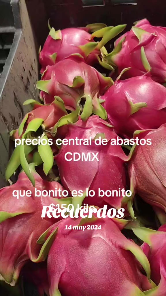 @Bestia central CDMX