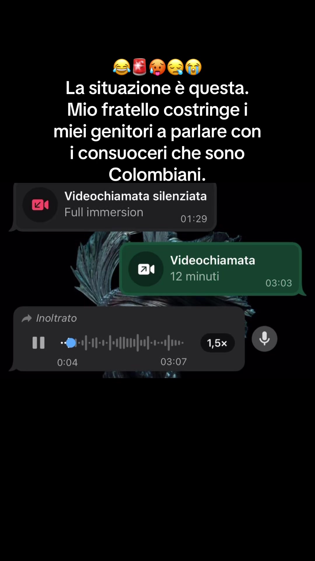 @Anna Cautiero