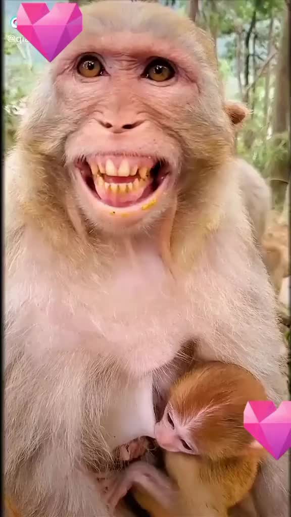 @Sharmila Neupane