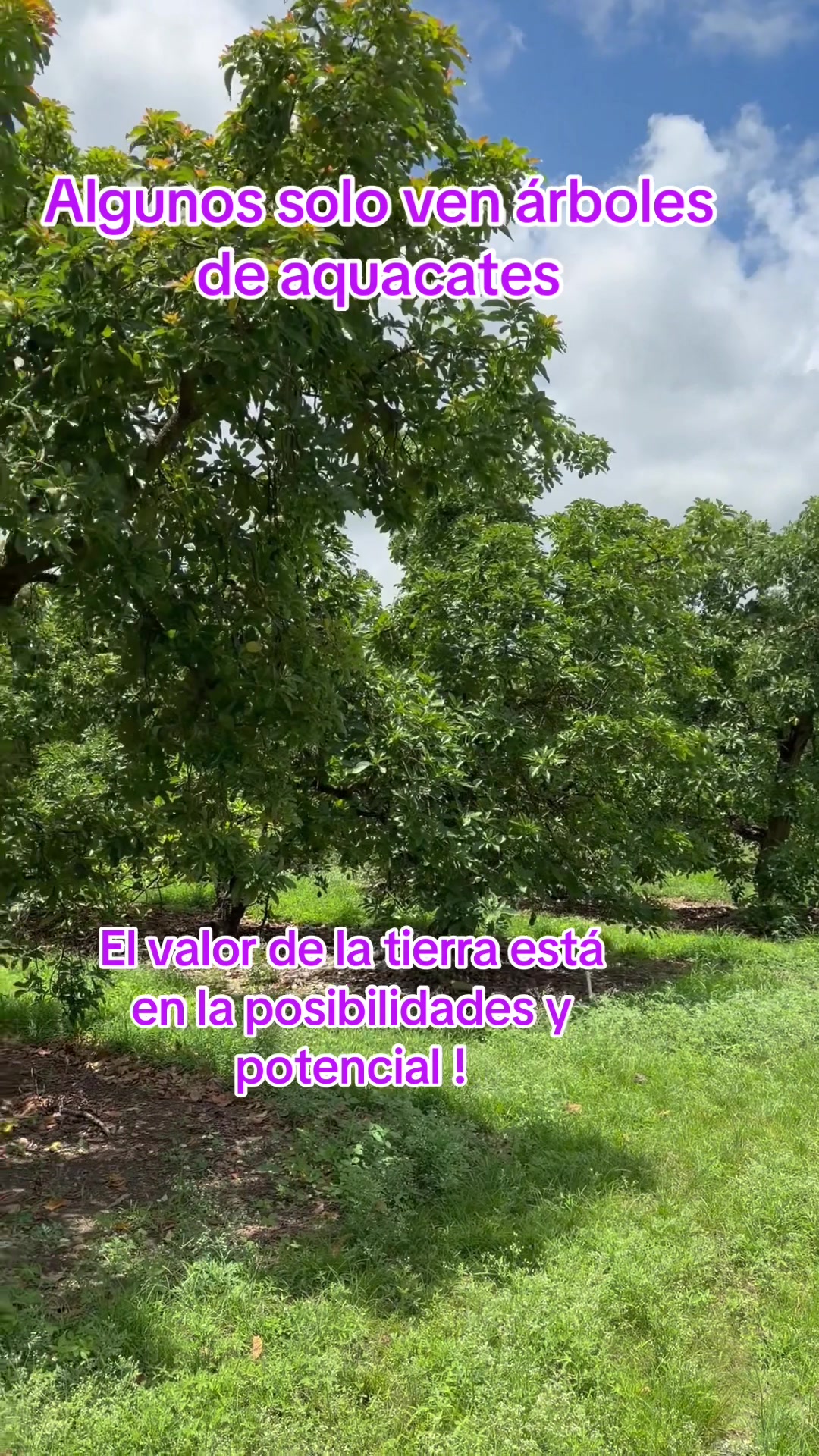 @Florida Land Guy