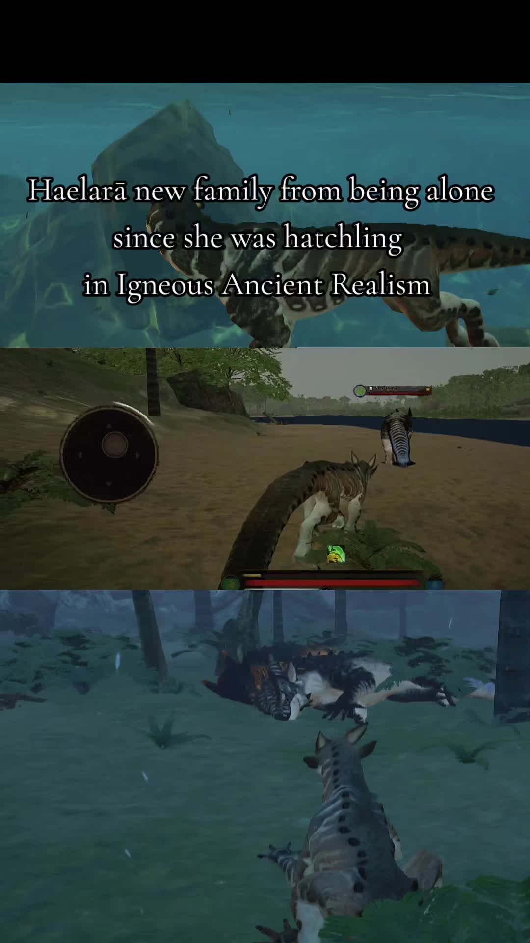@EarthSkyDawn