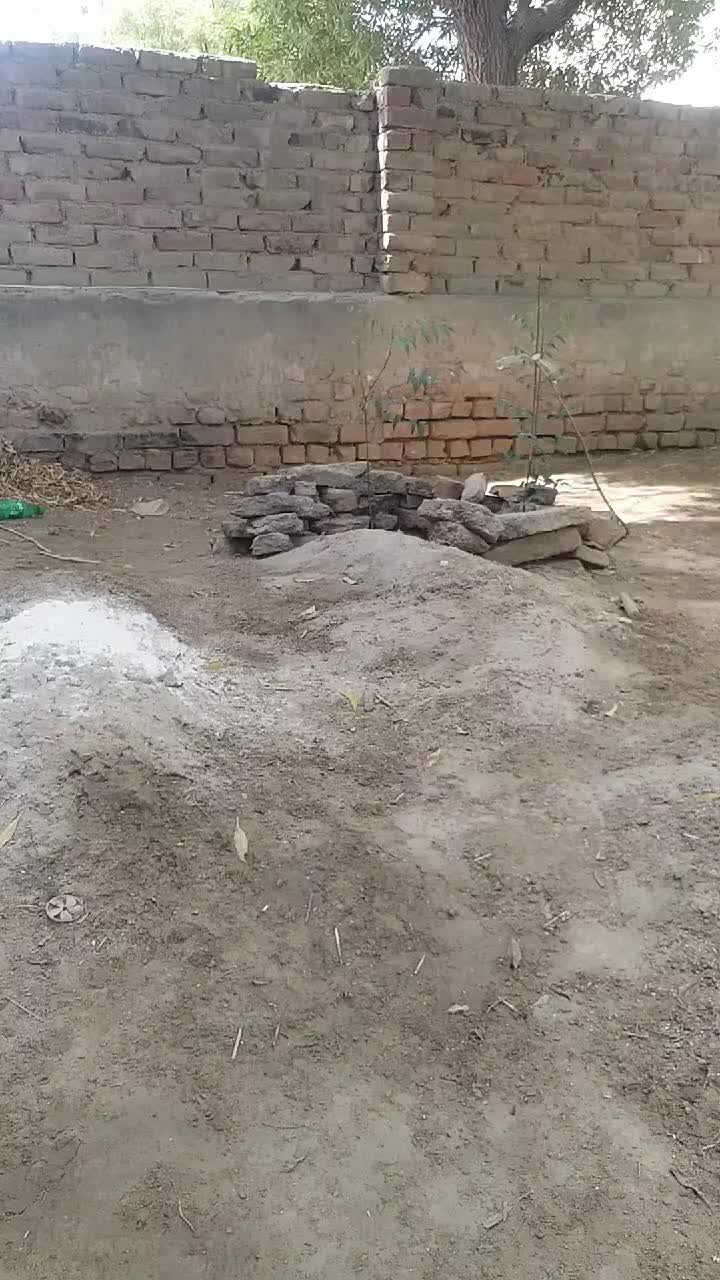 @shahjan lakho
