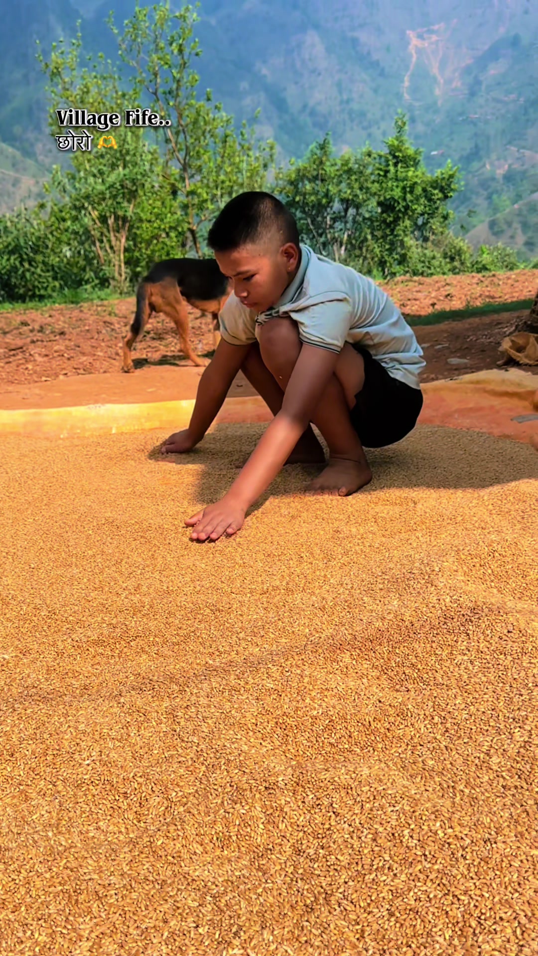 @Shyam Thapa MagarЁЯЗ│ЁЯЗ╡