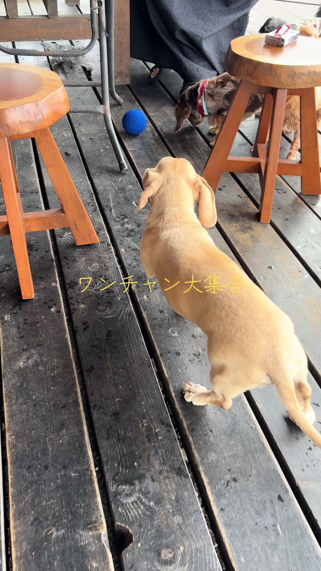@ケン