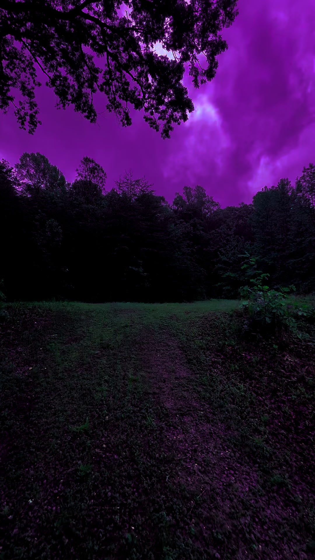 @DarkSpaces
