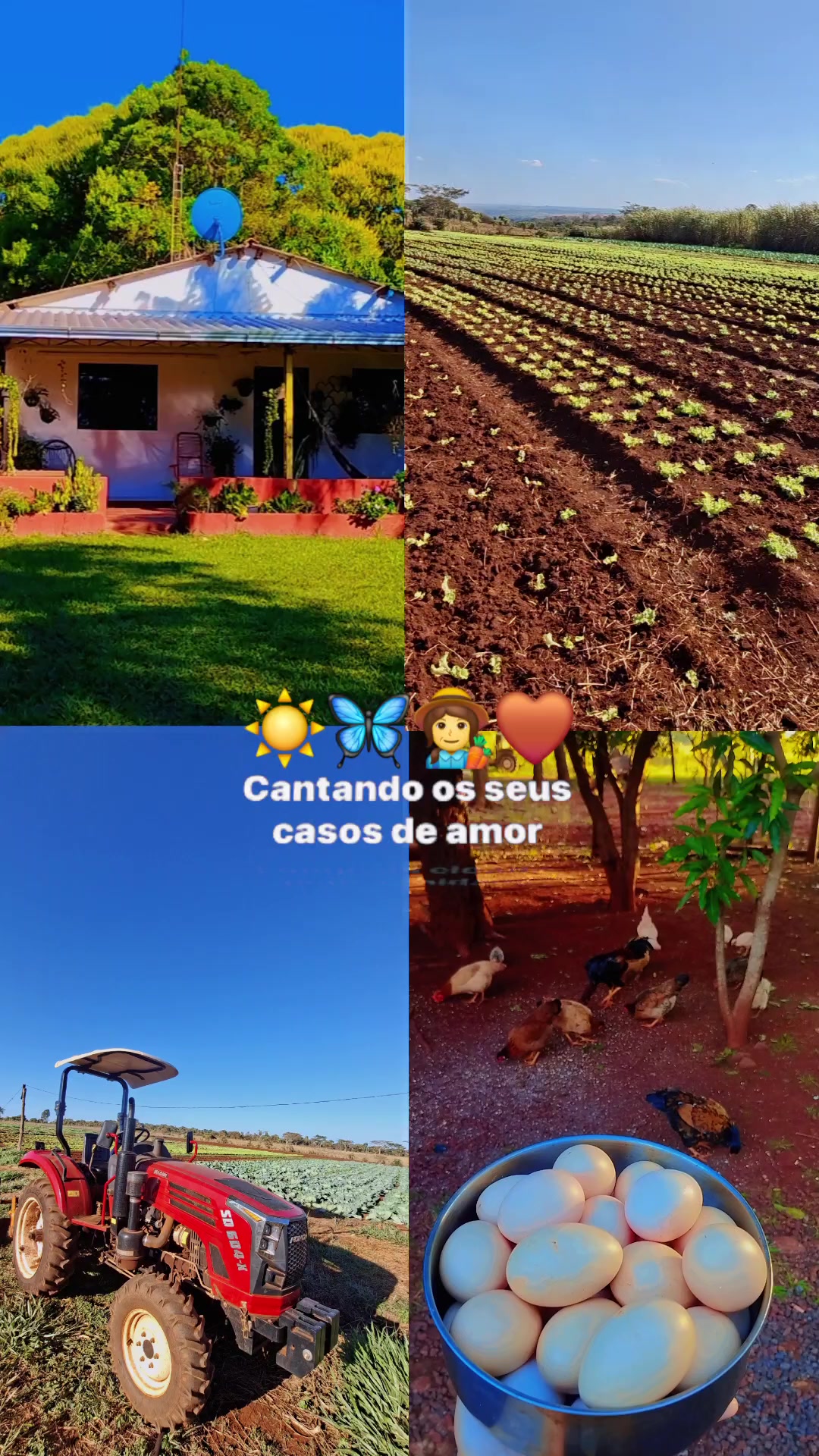 @juanabenitez163