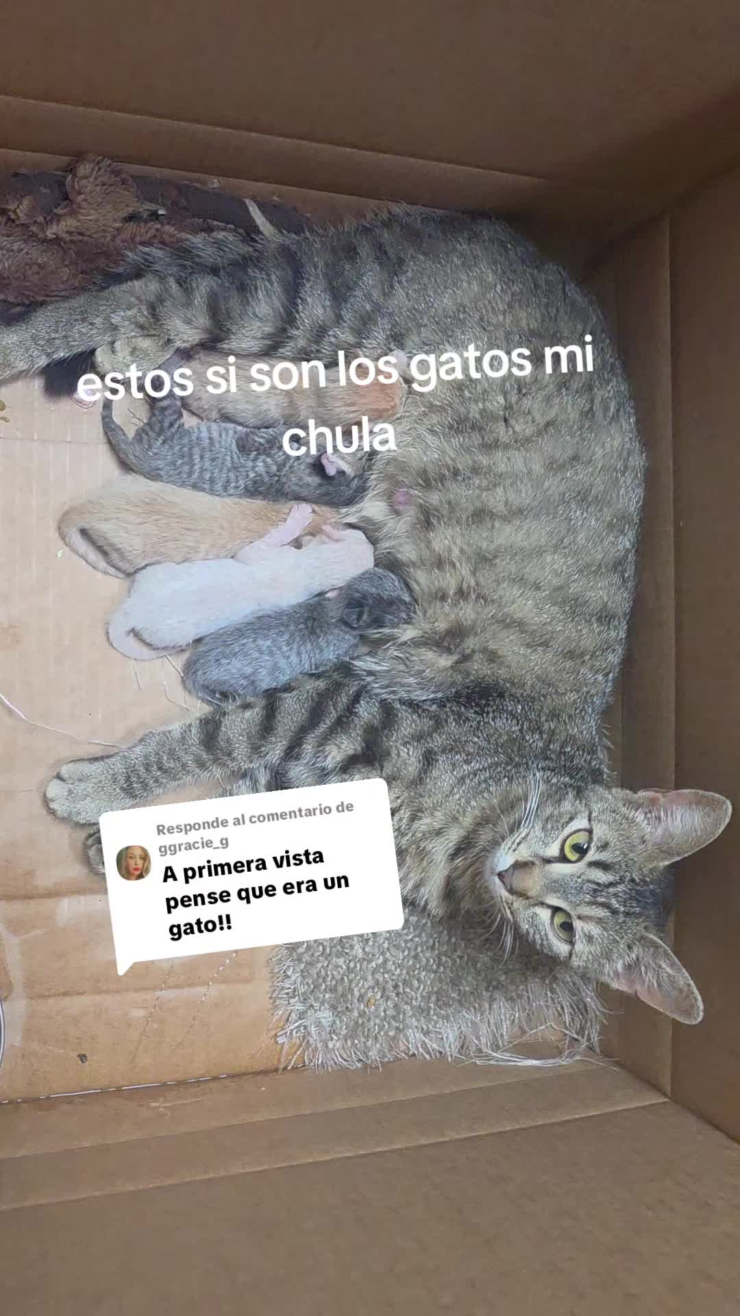 @mayte.famersRanch🐄🐃🐂🐑