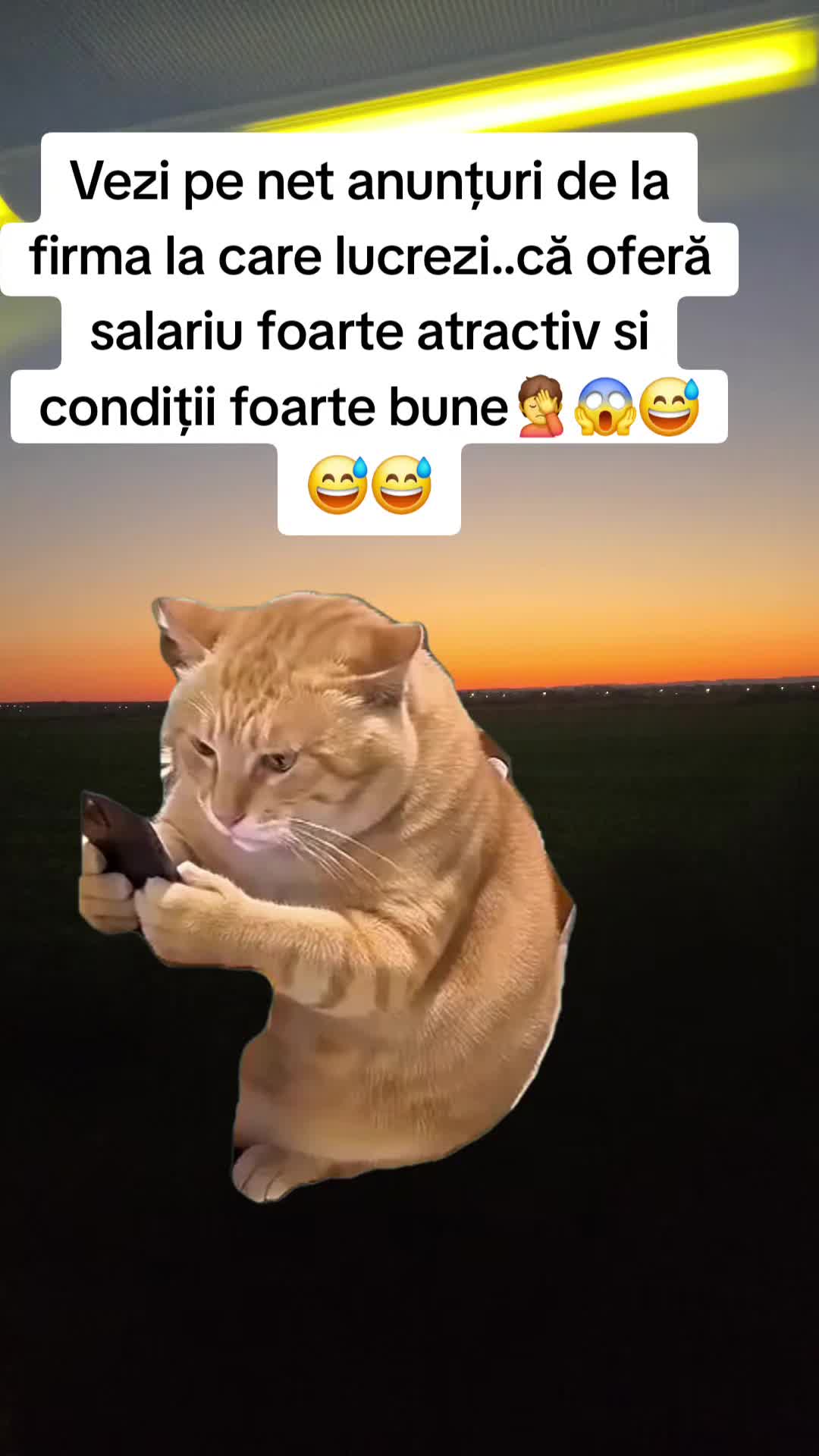 @Irimia Vasilică