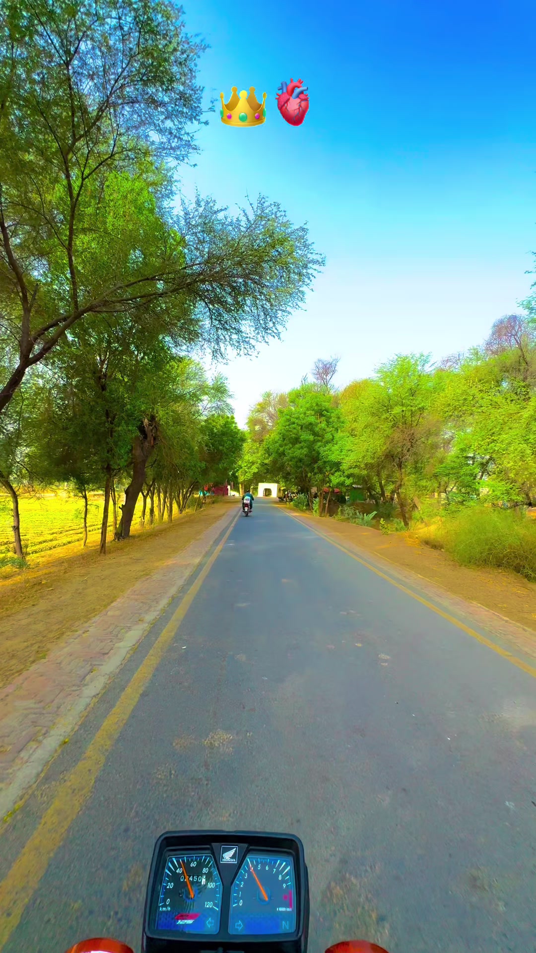 @پنجابی کلچر 🌾🍂