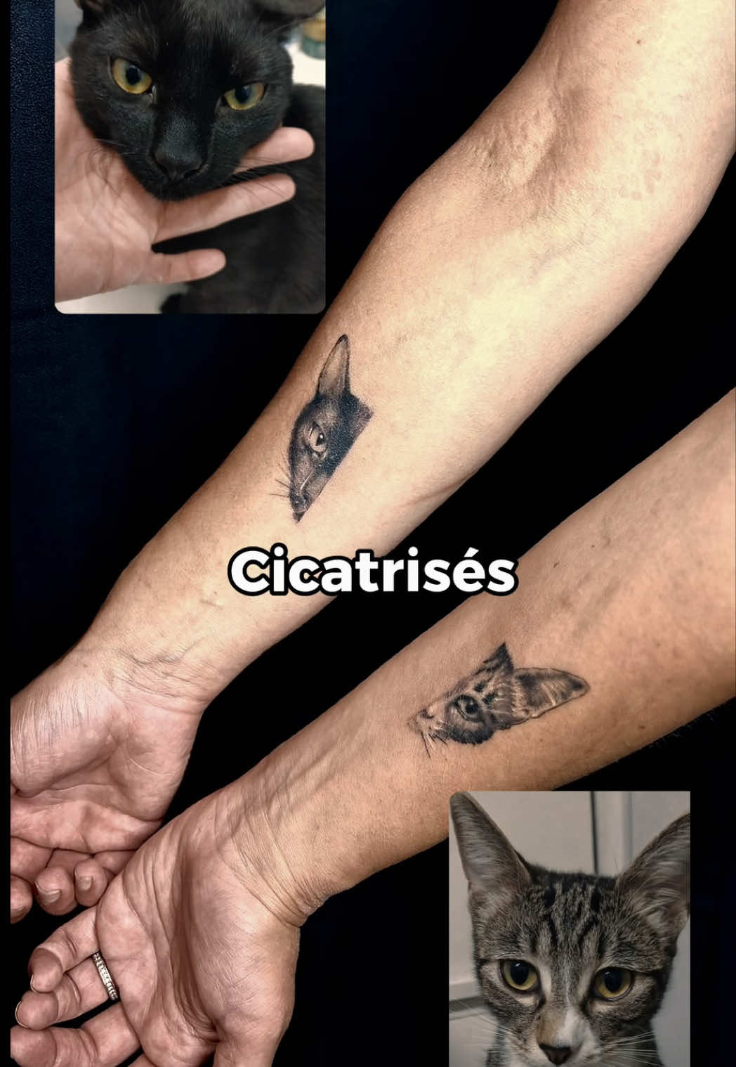 @O’Malley Tattoo Nice