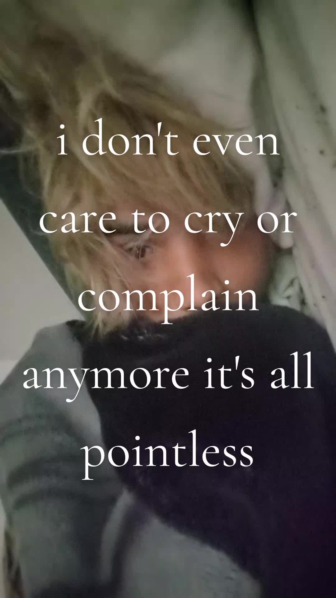 @meow