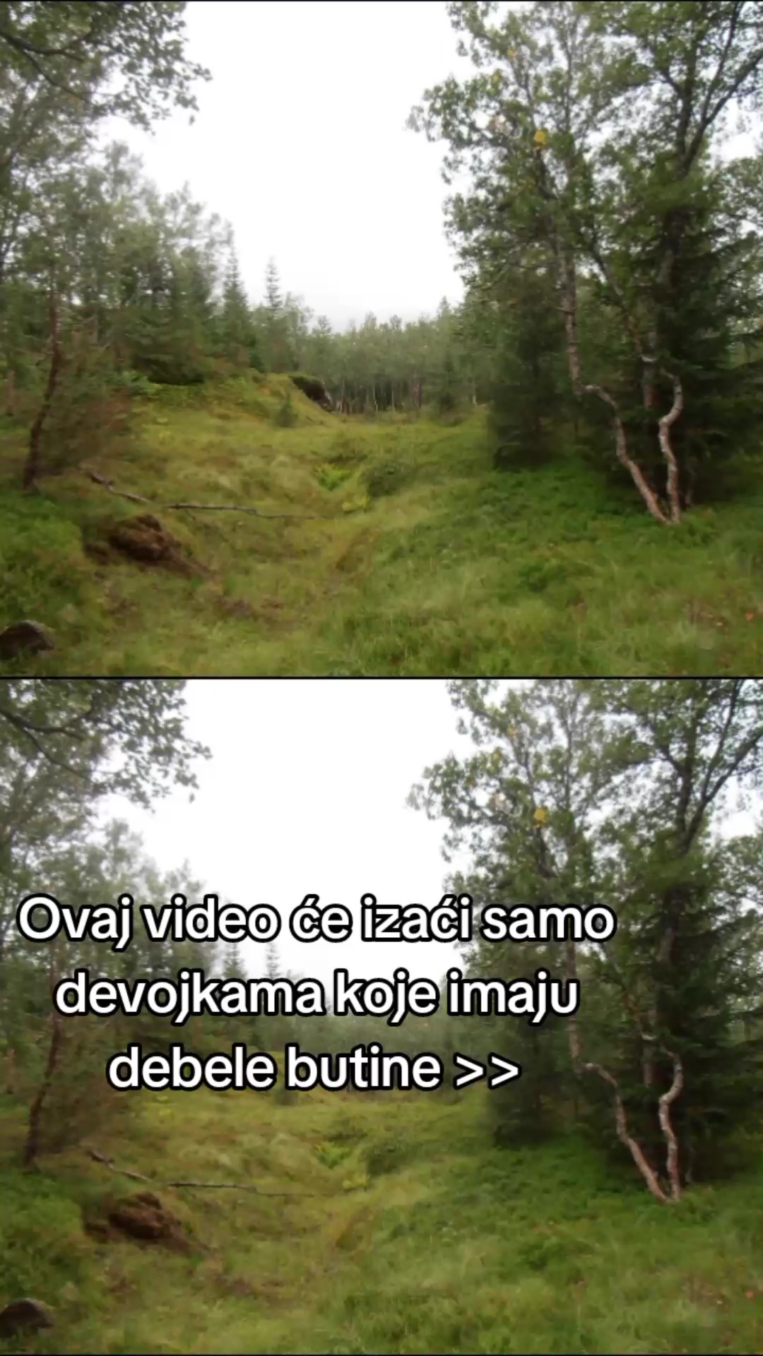 @klavijaturista