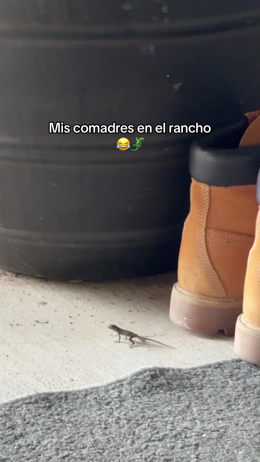 @Vianey