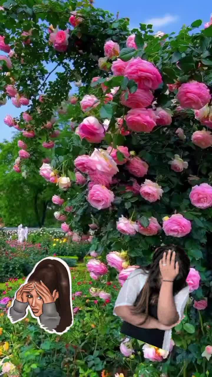 @mihaelaungureanu651