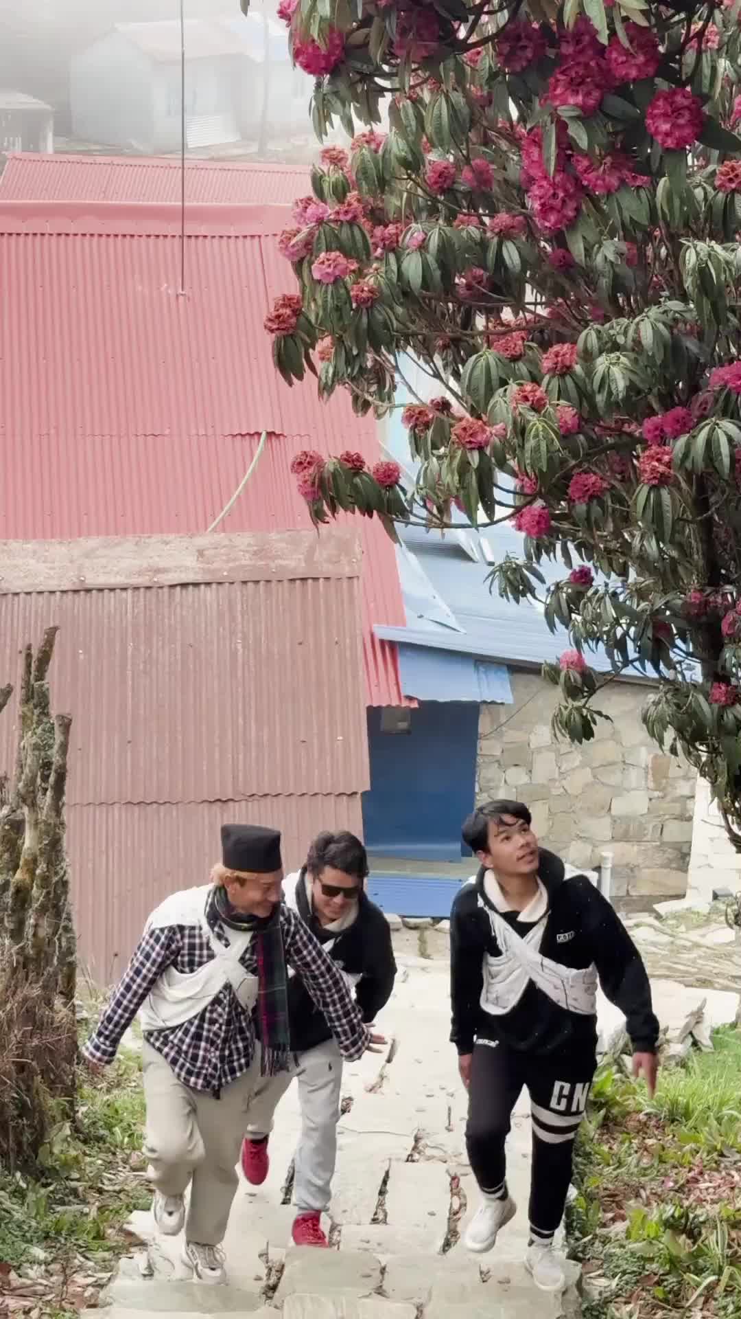 @ZooYaa PaEza