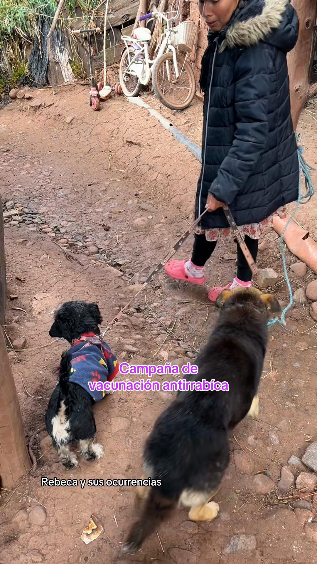 @🐈Rebeca y sus ocurrencias
