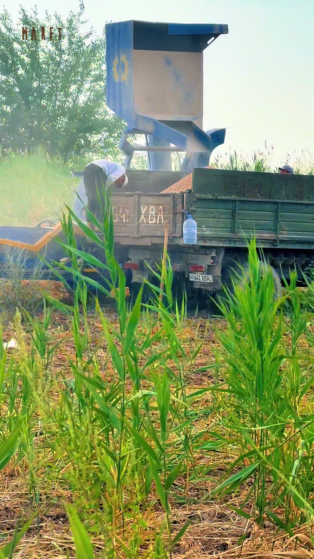 @sulton_agro