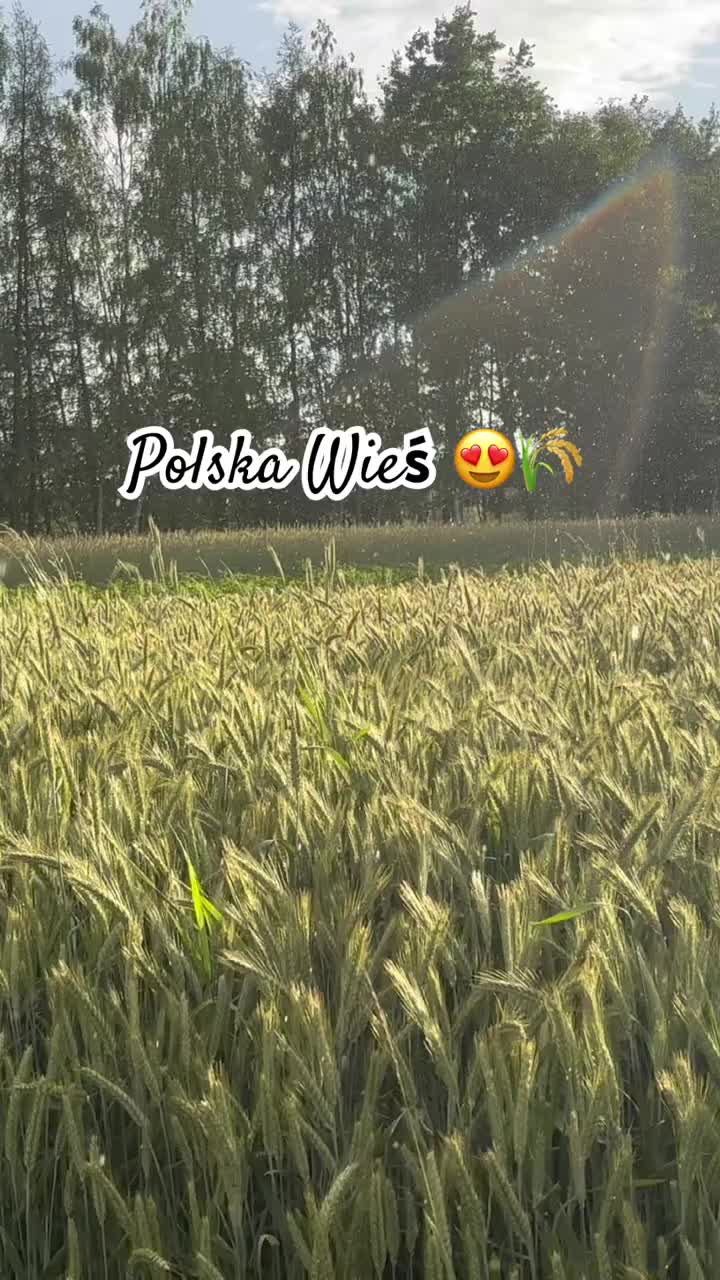 @MajsterMTM