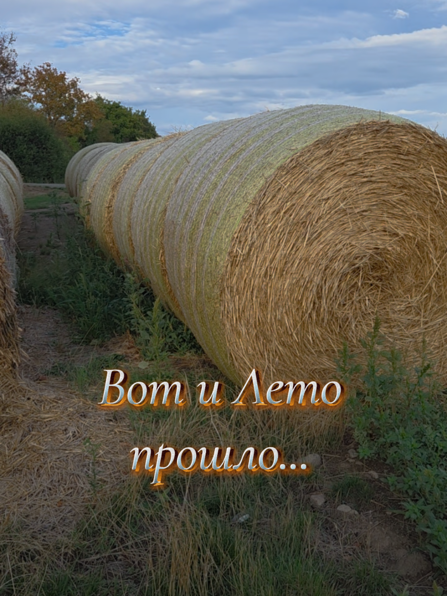 @✨Елена✨