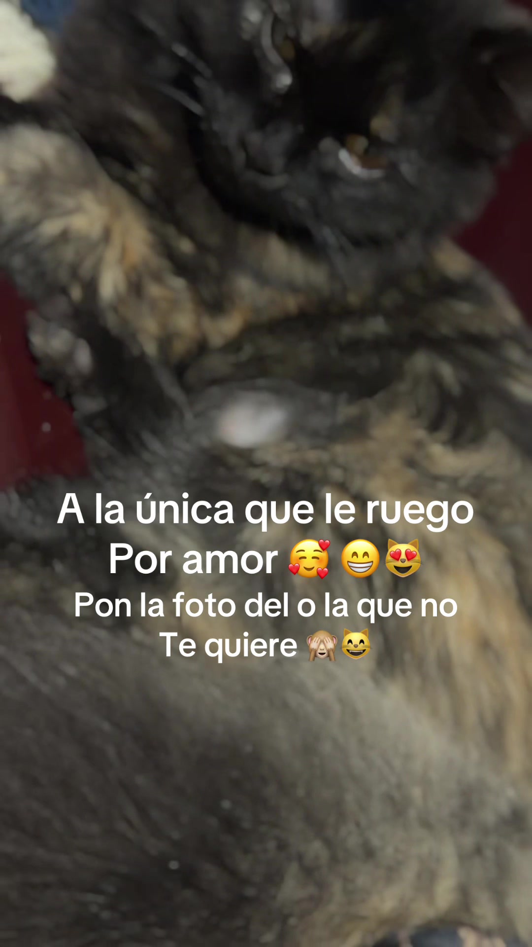 @R Yeny Mua
