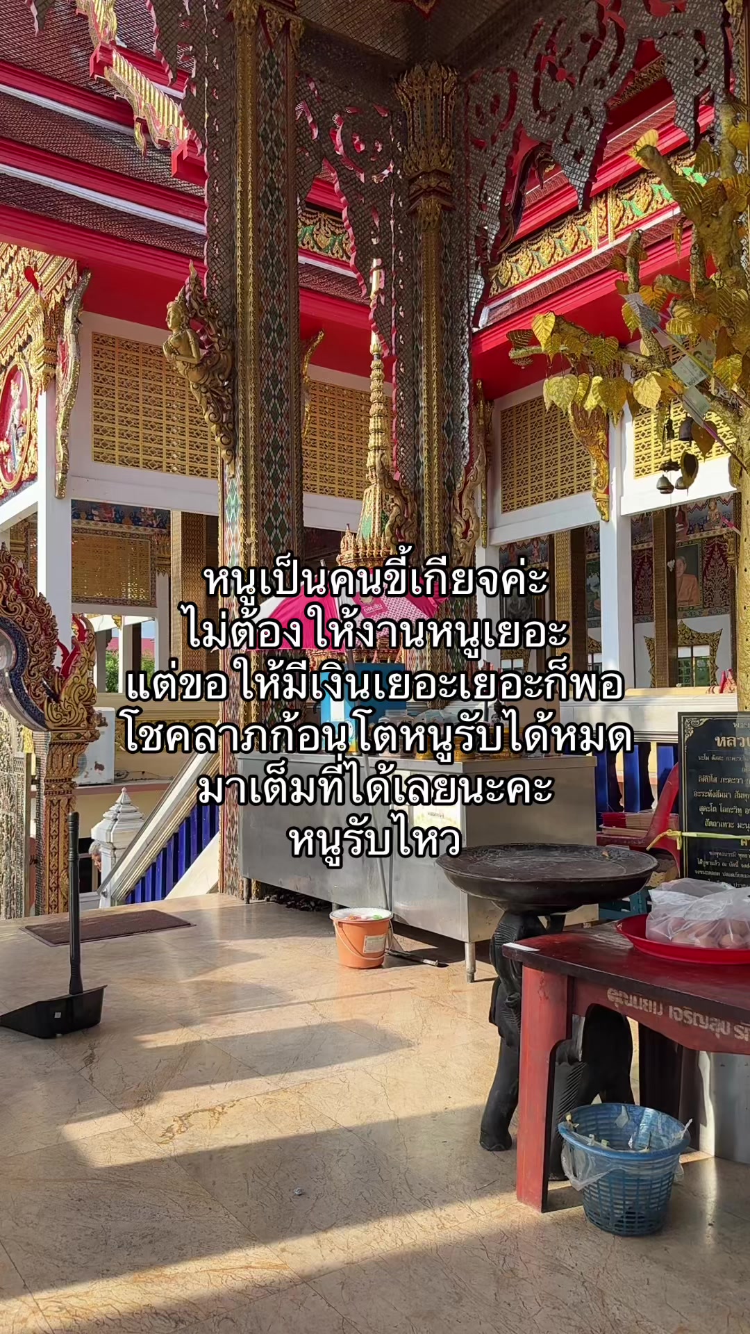 @ชีว๊าสส‘ส ชวาร็อฟกี้