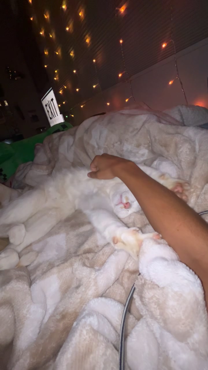 @fuityyloopa