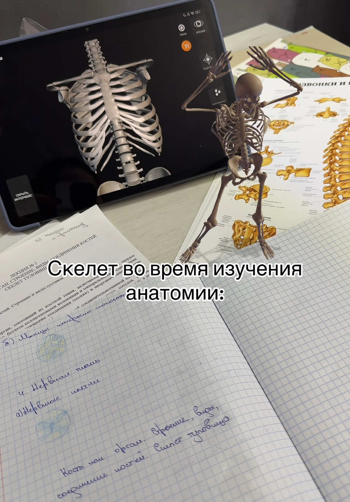 @яшка