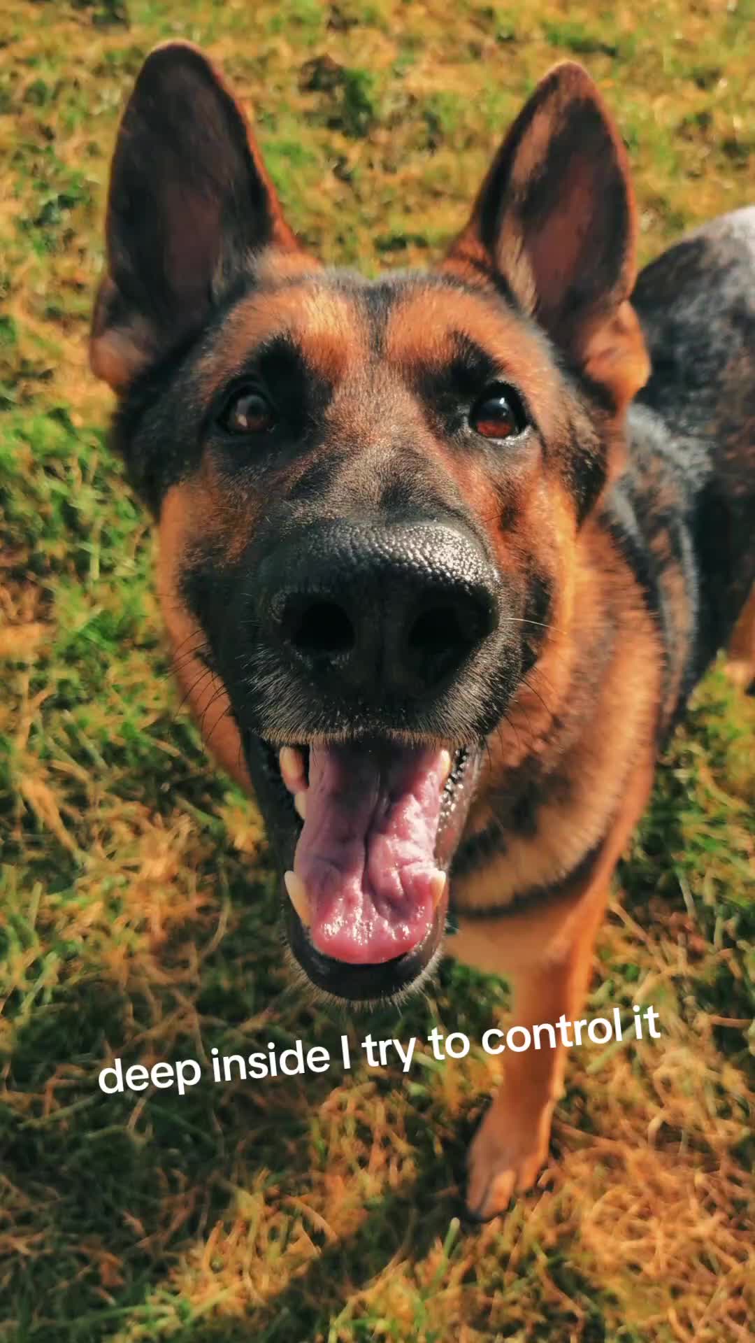 @axelkshelly