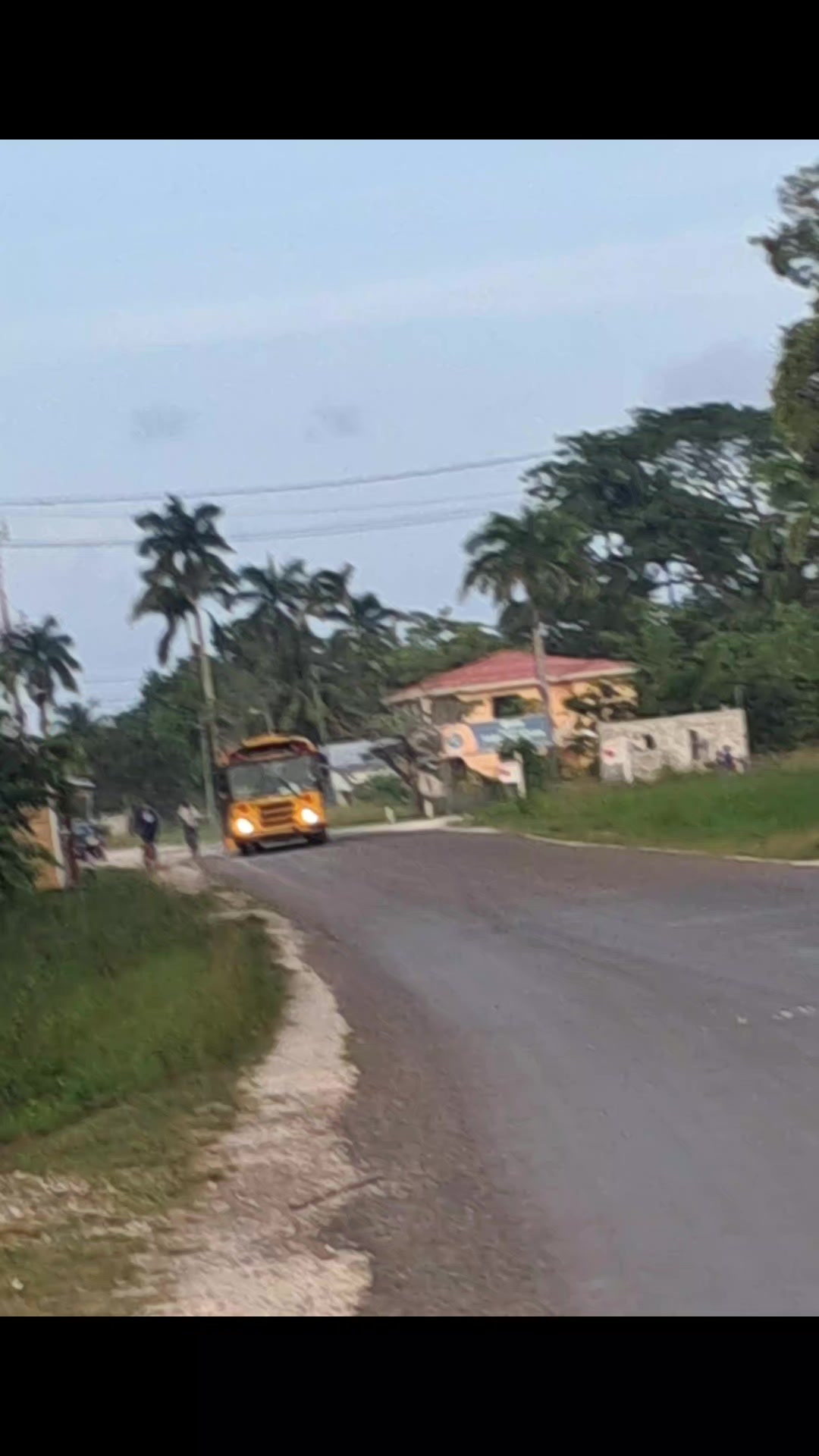 @d.beast.ofbelize