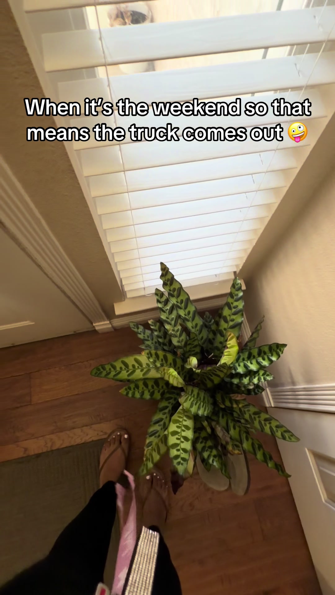 @alexiseen