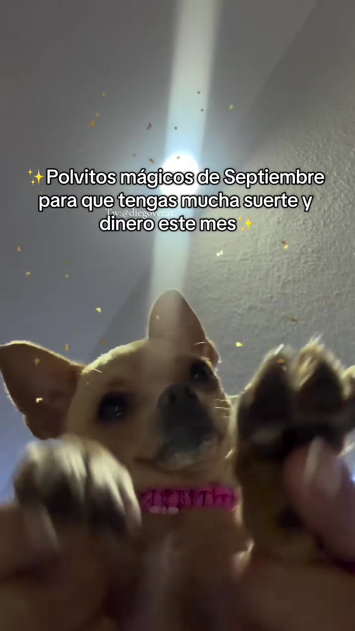 @Diego Vera