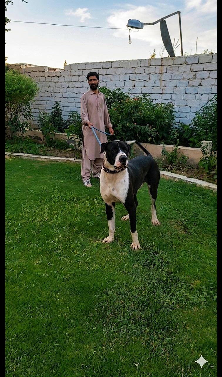 @Jaan Khilji