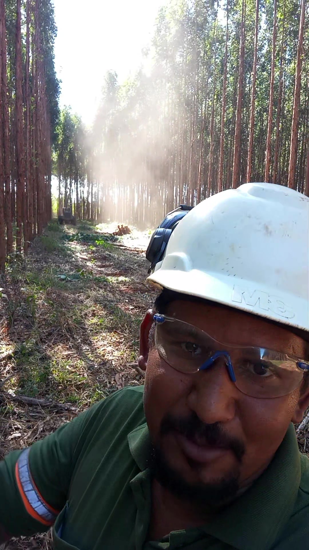 @🌲OperadorFlorestal🪵Ernandes.