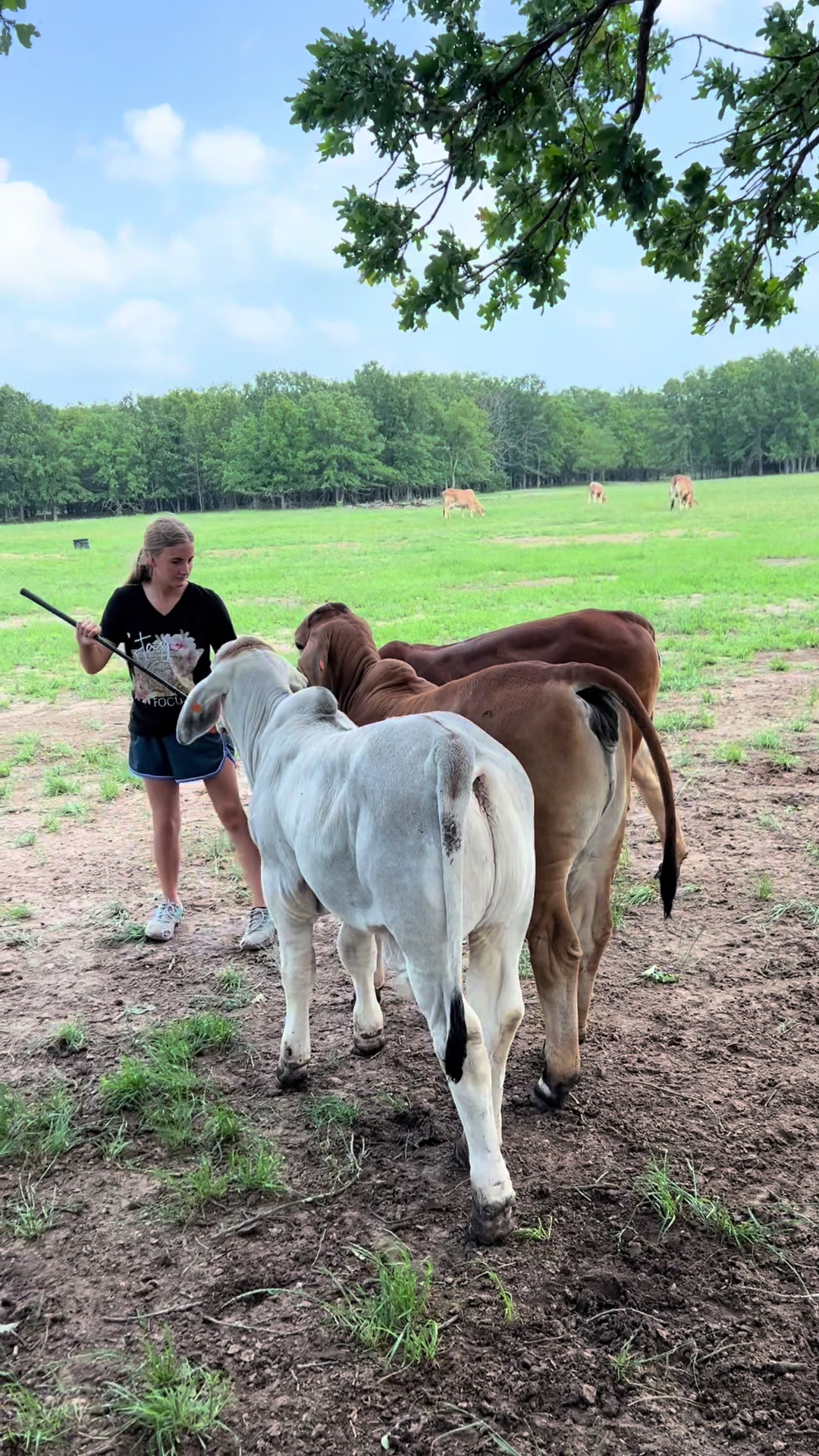 @The V6 Ranch