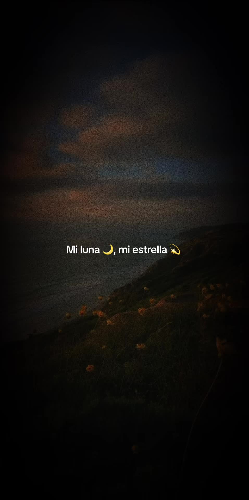 @✨️